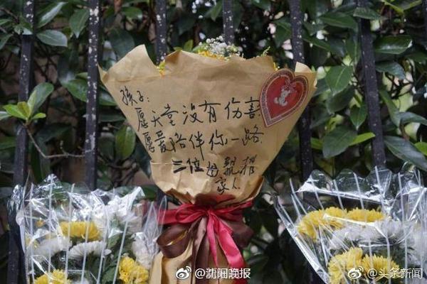 👍杨瀚森盲排效力过NBA的中国球员：姚明第1&易建联第2&大郅第3